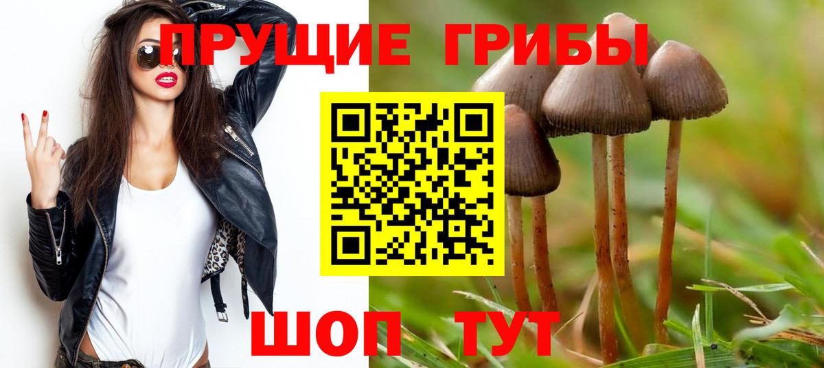 Псилоцибиновые грибы прущие грибы  Вход с VPN  Псилоцибиновые грибы Magic Shrooms  Заречный 
